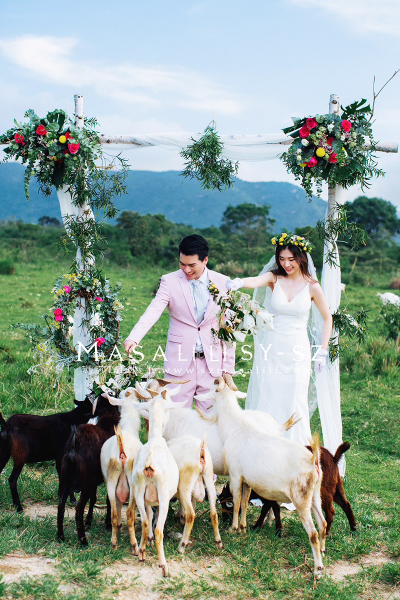 曾先生&郑小姐夫妇青青牧场旅拍婚纱照                        深圳婚纱摄影摄影工作室玛莎莉莉摄影出品