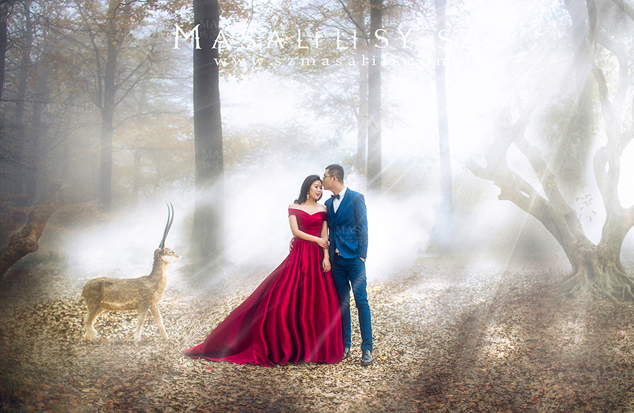 董先生&肖小姐夫妇幸福浪漫婚纱照                                                   创意 唯美森系婚纱照