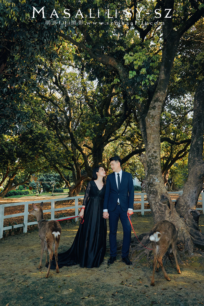 李先生&王小姐夫妇玫瑰小镇欧式城堡奈良小鹿游艇婚纱照