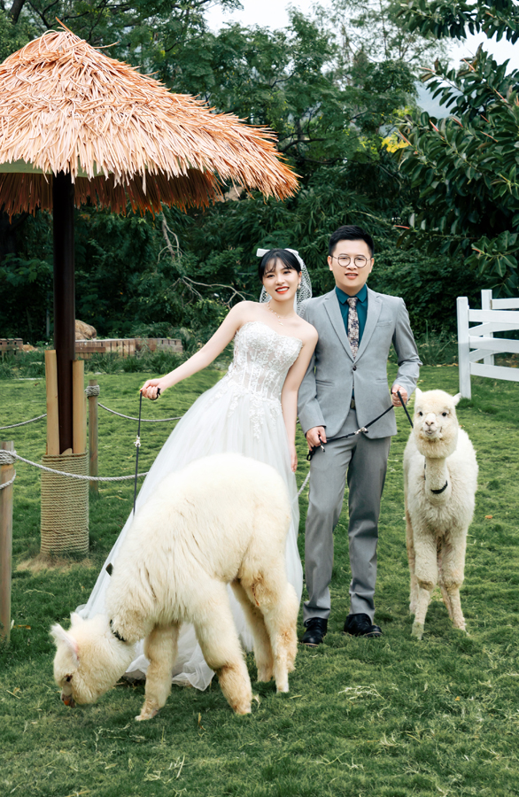 姚小姐夫妇青青牧场婚纱照                             深圳婚纱摄影工作室