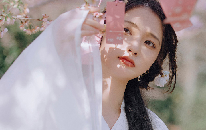 刘小姐樱花             汉服写真