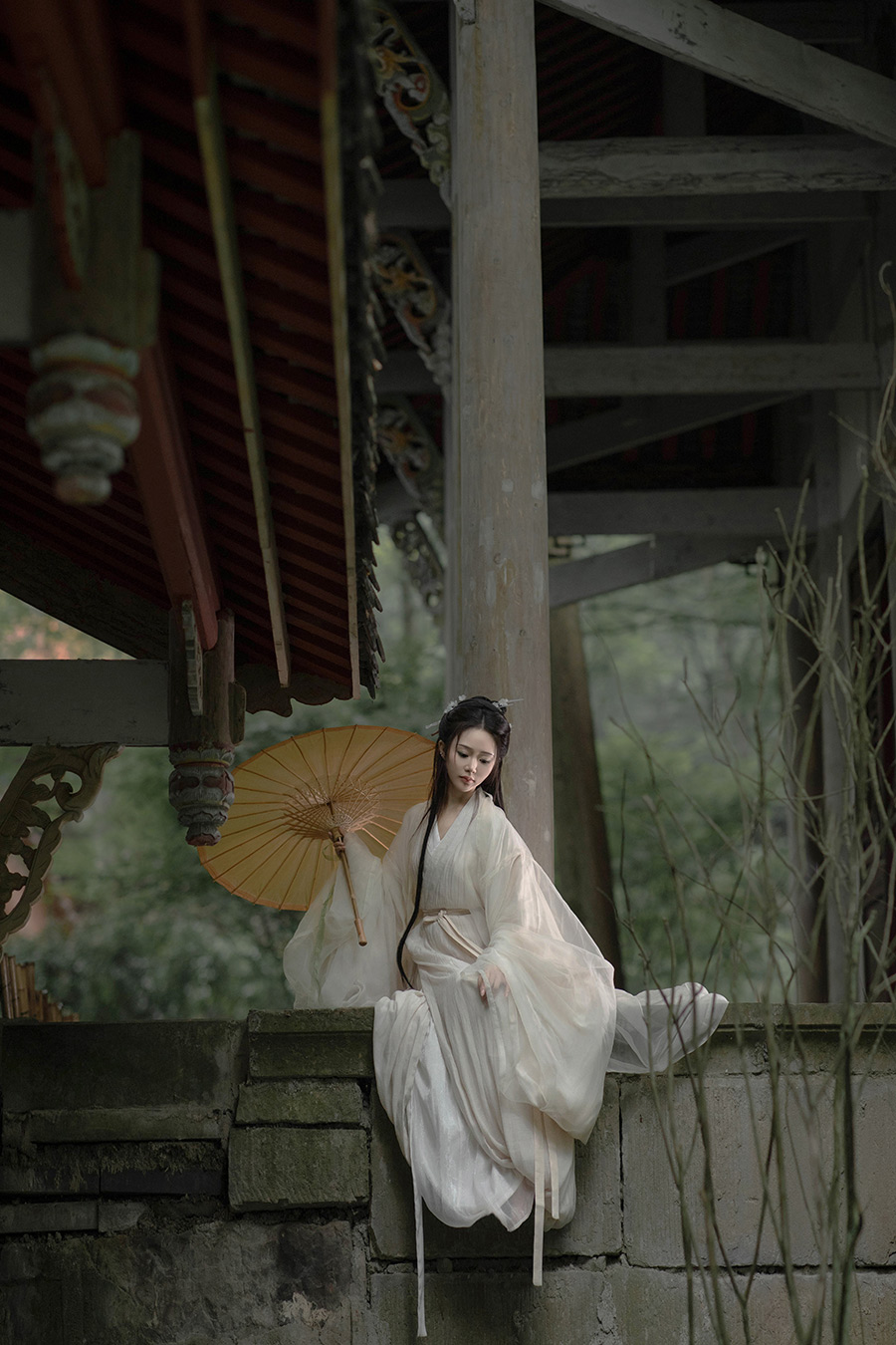 乔小姐二十四史汉服写真