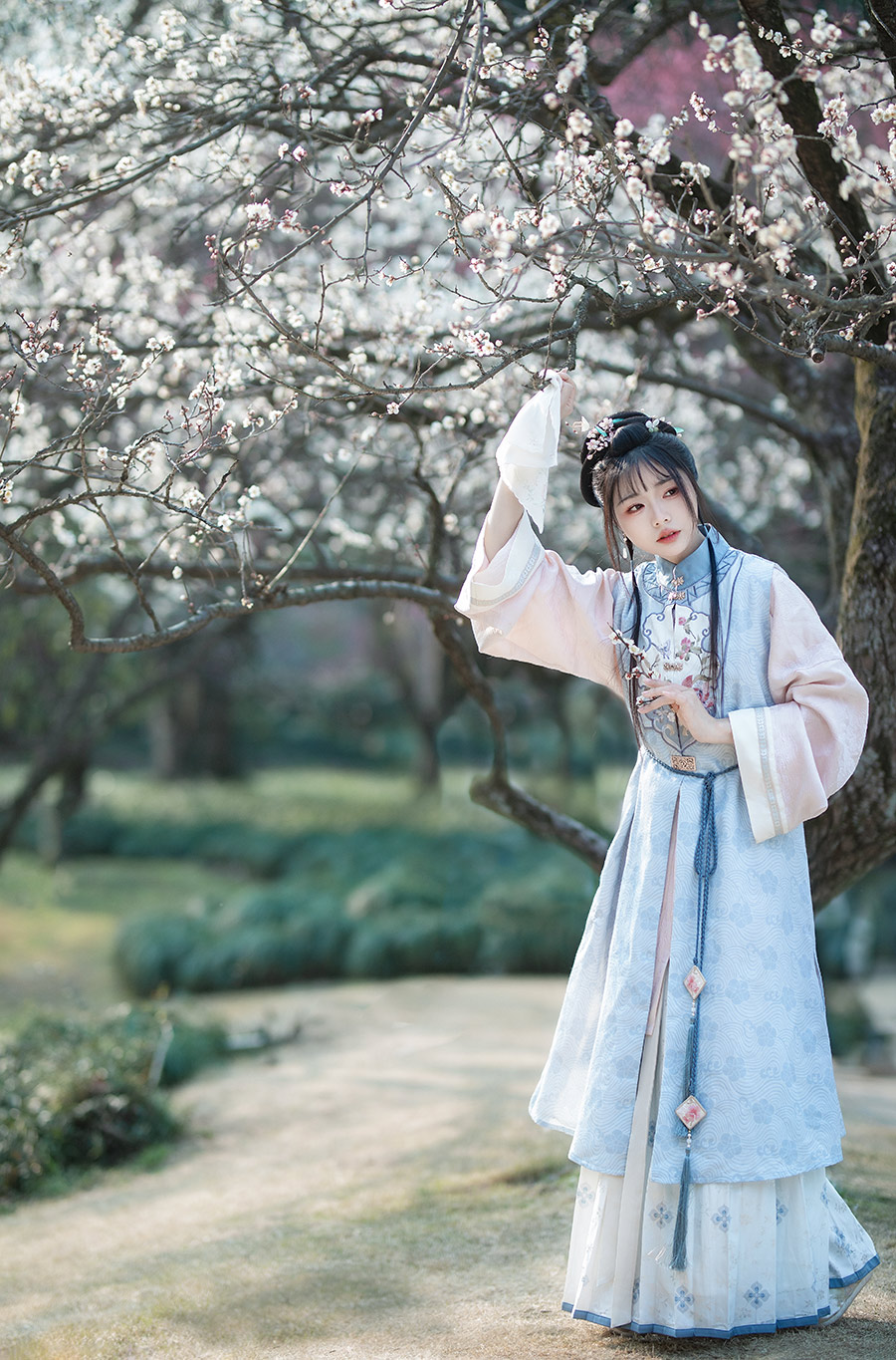 杨小姐梅园                         外景汉服写真