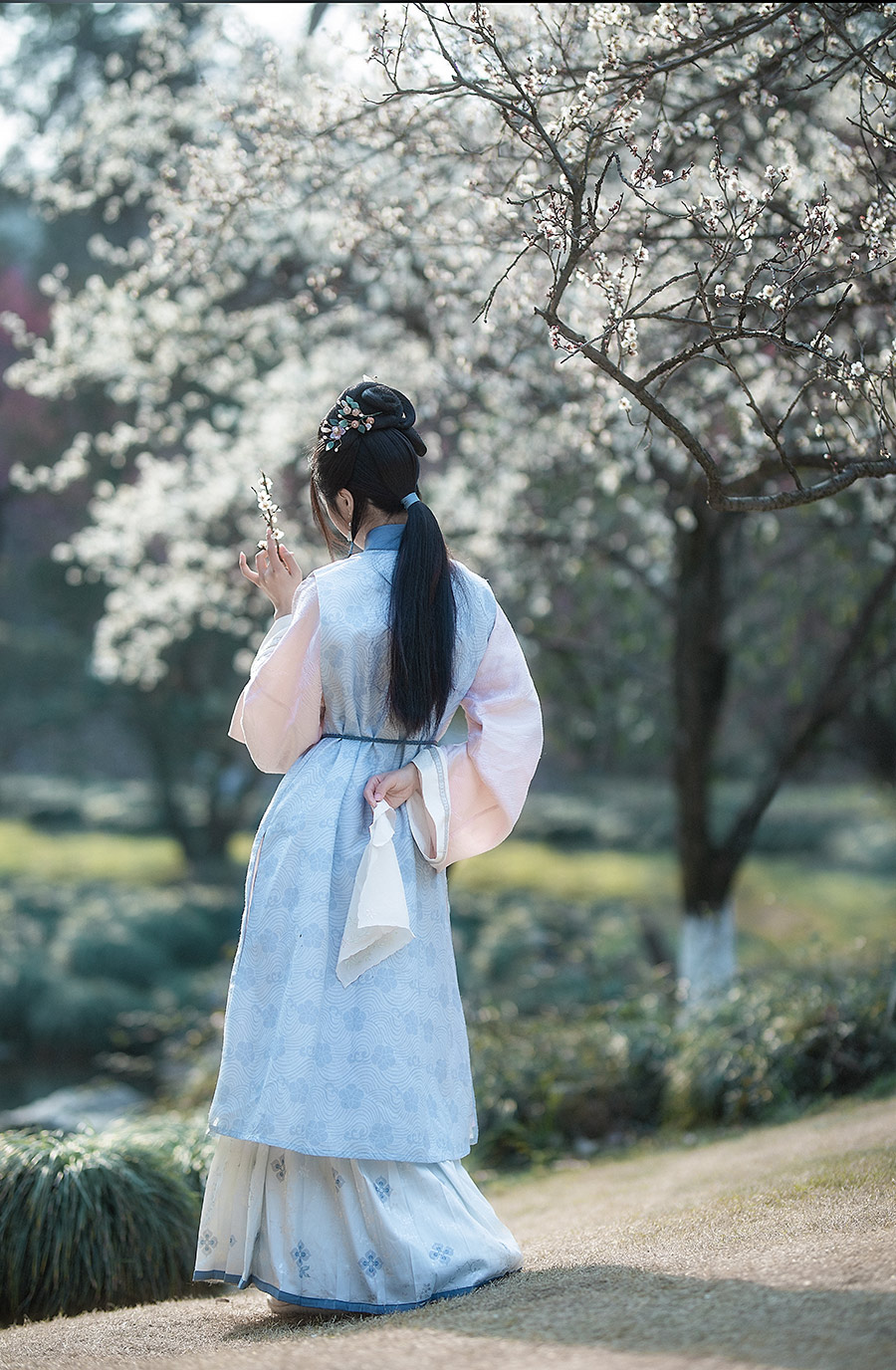 杨小姐梅园                         外景汉服写真